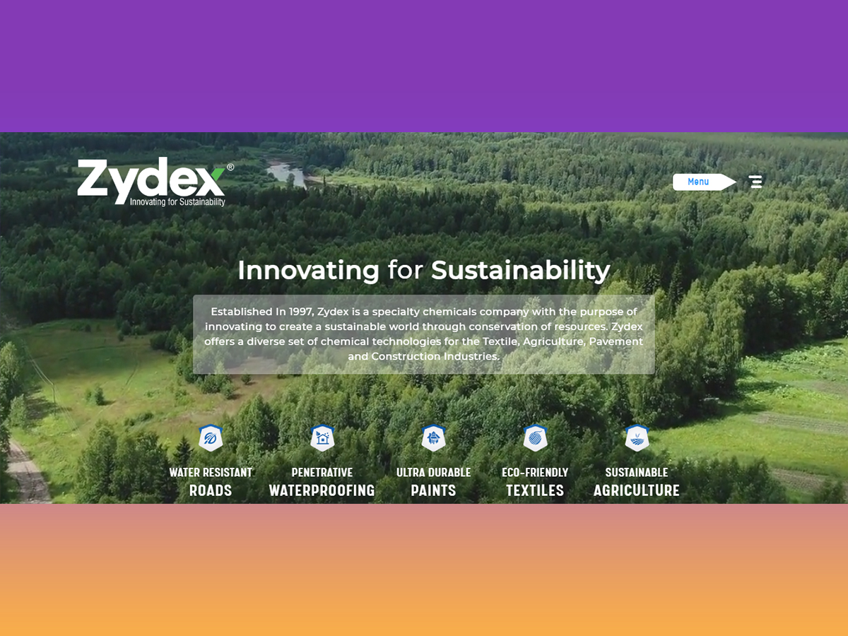 Zydex Group corporate website project
